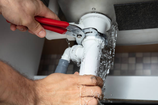 Best Sewage cleanup and water damage restoration  in Nogales, AZ