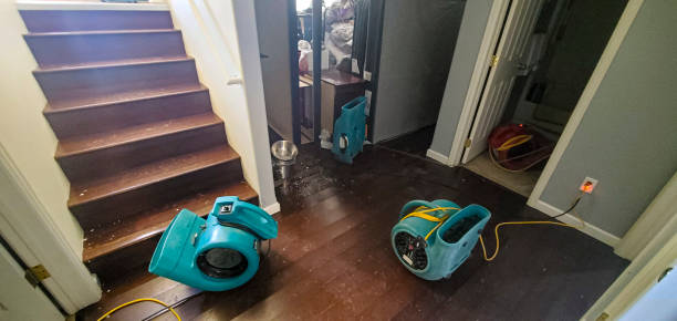  Nogales, AZ Water damage restoration Pros