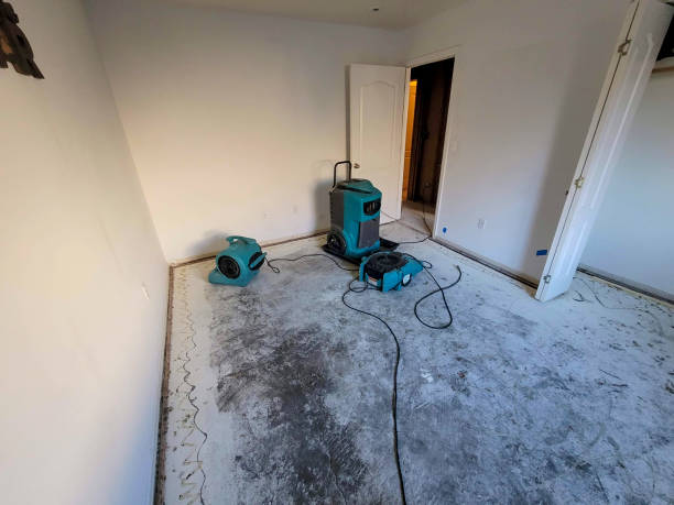 Best Ceiling water damage repair  in Nogales, AZ
