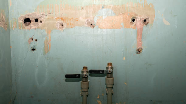 Best Commercial water damage restoration  in Nogales, AZ