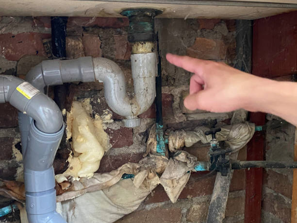 Best Professional water damage repair  in Nogales, AZ