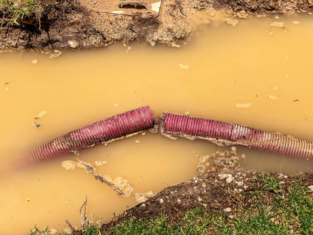 Best Flooded house restoration  in Nogales, AZ